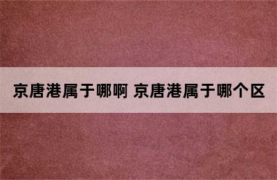 京唐港属于哪啊 京唐港属于哪个区